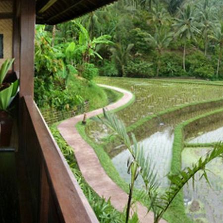 Bali Eco Stay Экстерьер фото